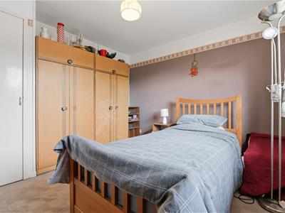 Picture 12